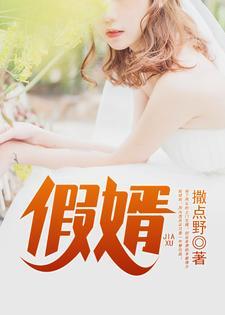 假婿 假婿