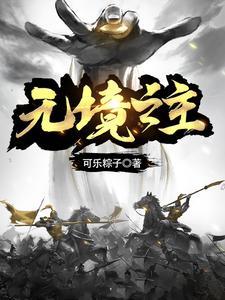 无境之主 无境之主