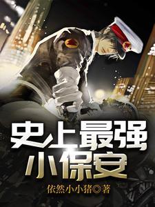 史上最强小保安 史上最强小保安