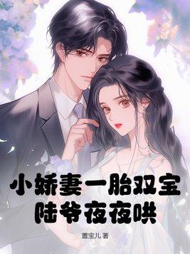 小娇妻一胎双宝,陆爷夜夜哄! 小娇妻一胎双宝,陆爷夜夜哄!