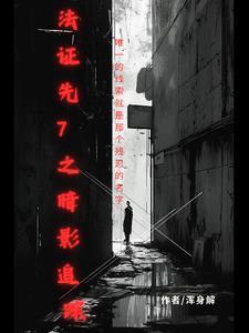 法证先锋七之暗影追踪 法证先锋七之暗影追踪