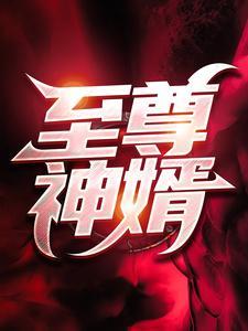 至尊神婿 至尊神婿