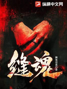 缝魂 缝魂