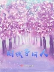 旧城等旧人 旧城等旧人