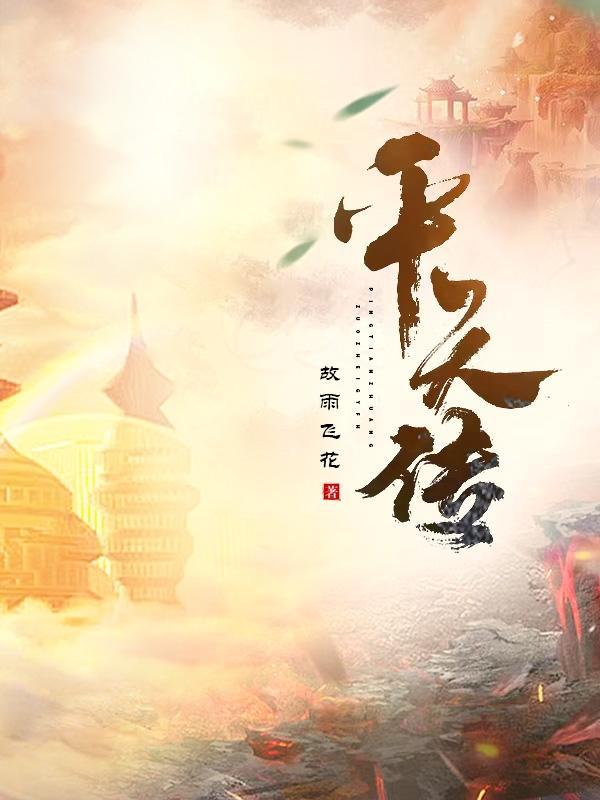 平天传 平天传