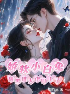 难哄!黑道大佬的宝贝小娇妻 难哄!黑道大佬的宝贝小娇妻