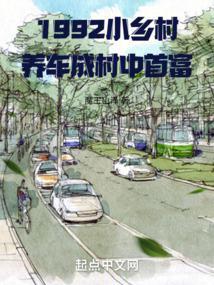 1992小乡村,养车成村中首富 1992小乡村,养车成村中首富