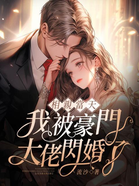 相亲当天,我被豪门大佬闪婚了 相亲当天,我被豪门大佬闪婚了