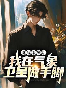 觉醒系统后,我在气象卫星做手脚 觉醒系统后,我在气象卫星做手脚