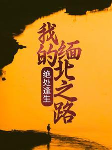 绝处逢生:我的缅北之路 绝处逢生:我的缅北之路