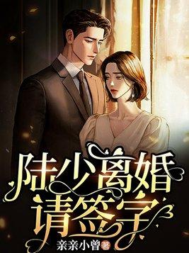 陆少离婚请签字 陆少离婚请签字