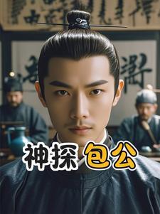 神探包公传奇 神探包公传奇