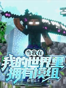 当我在我的世界里拥有模组 当我在我的世界里拥有模组