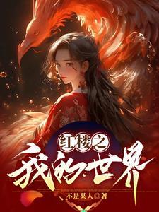 红楼之我的世界 红楼之我的世界