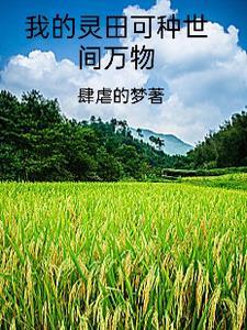 混沌灵田 混沌灵田