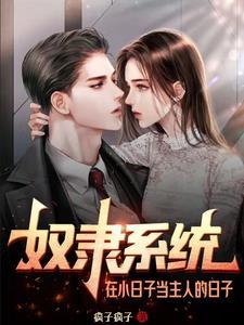 奴隶系统:在小日子当主人的日子 奴隶系统:在小日子当主人的日子