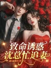 致命诱惑,沈总忙追妻 致命诱惑,沈总忙追妻