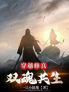 穿越修真:双魂共生 穿越修真:双魂共生