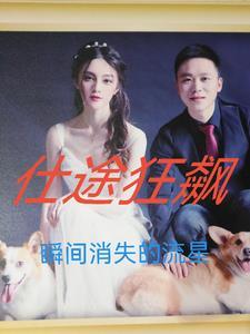 仕途狂飙 仕途狂飙