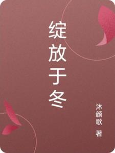绽放于冬 绽放于冬