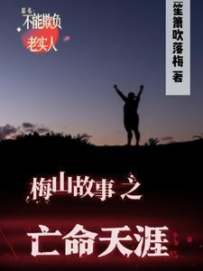 梅山故事之亡命天涯 梅山故事之亡命天涯