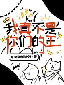 我真不是你们的王 我真不是你们的王