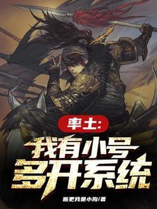 率土:我有小号多开系统 率土:我有小号多开系统