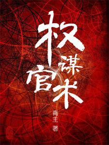 步步惊心,官术内幕 步步惊心,官术内幕