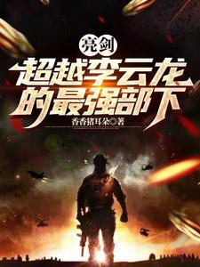 亮剑:从小兵到旅长 亮剑:从小兵到旅长