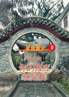 四合院:你的报应就是我 四合院:你的报应就是我
