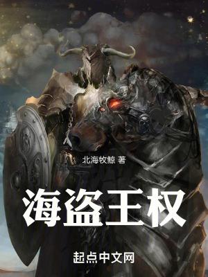 海盗王权 海盗王权