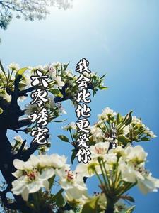 六零诱宠:我会比他更爱你 六零诱宠:我会比他更爱你