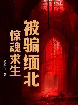 被骗缅北,惊魂求生 被骗缅北,惊魂求生