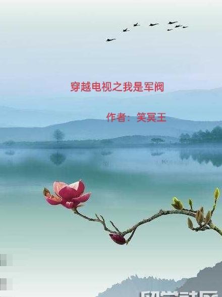 穿越电视之我是军阀 穿越电视之我是军阀