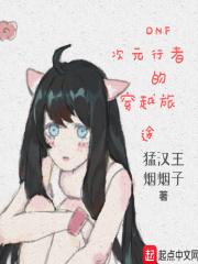 DNF次元行者的穿越旅途 DNF次元行者的穿越旅途