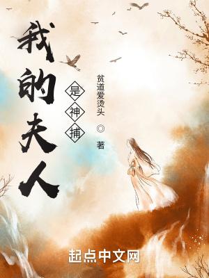 我的夫人是神捕 我的夫人是神捕