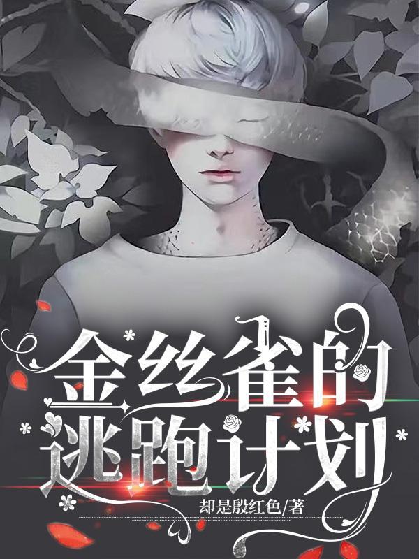 金丝雀的逃跑计划 金丝雀的逃跑计划