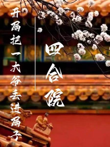 四合院:开局把一大爷丢进局子 四合院:开局把一大爷丢进局子