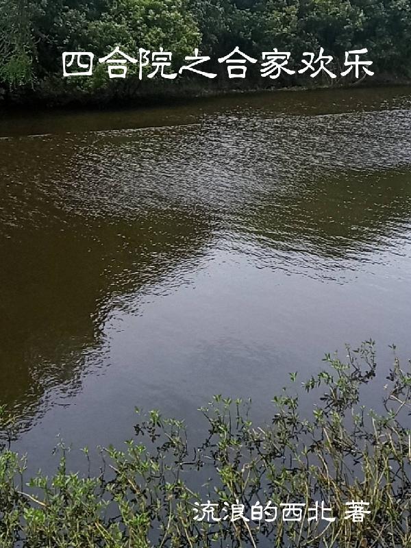 四合院之合家欢乐 四合院之合家欢乐