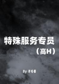 特殊服务专员(高H)