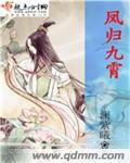 凤归九霄 凤归九霄