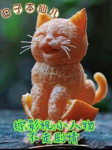 综影视:小人物不走剧情 综影视:小人物不走剧情