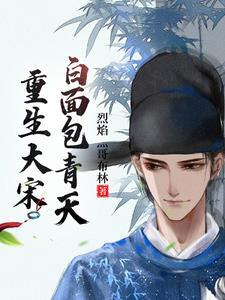 重生大宋:白面包青天 重生大宋:白面包青天