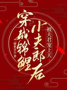 穿成猎户的替嫁小夫郎 穿成猎户的替嫁小夫郎