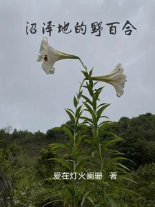 商人的原因 商人的原因