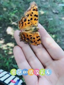 诡异 修仙 诡异 修仙