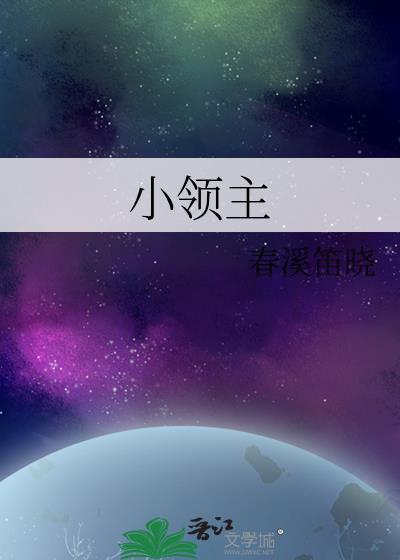 小领主 小领主