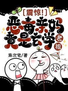 偷心总裁宠不停全文免费